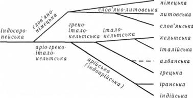 Родовідне дерево А. Шлейхера