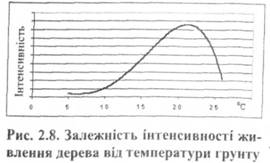 Залежність інтенсивності живлення дерева від температури грунту