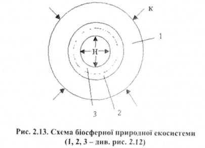 Схема біосферної природної екосистеми