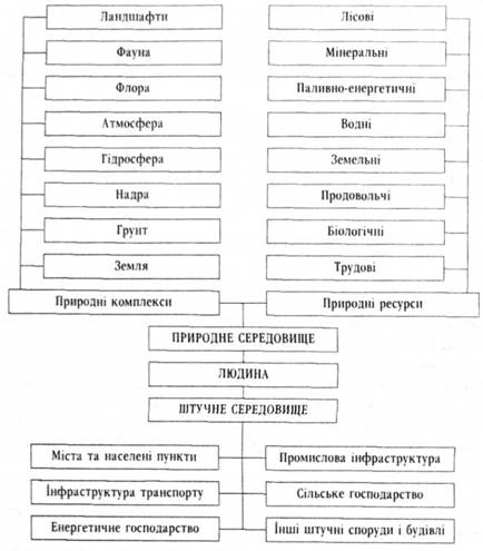 Структурна схема довкілля людини