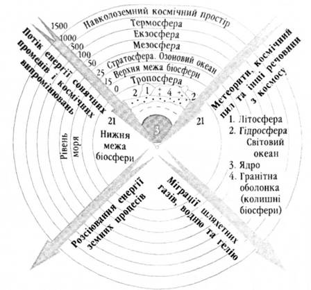 Структура біосфери та її оточення 
