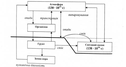 Біогеохімічний цикл води