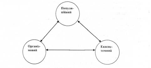 Основні рівні організації біосистем 