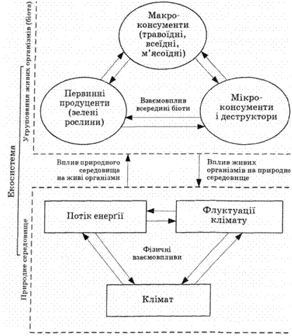 Подпись: 