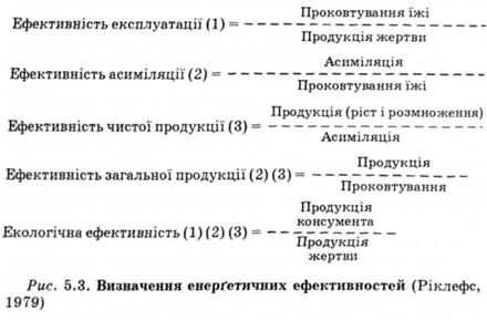 Визначення енергетичних ефективностей 