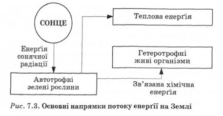 Основні напрямки потоку енергії на Землі 