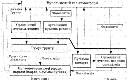 Подпись: 