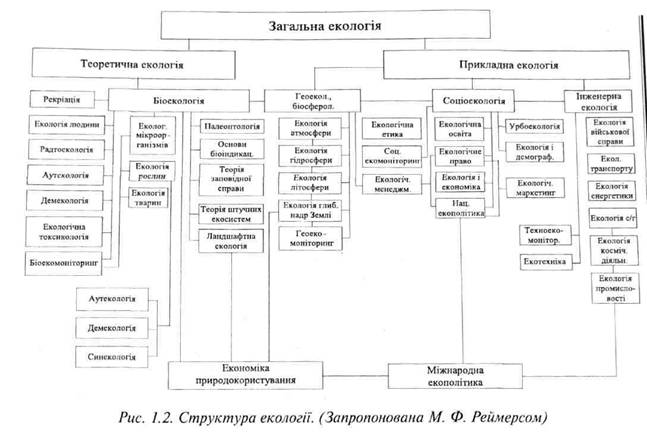 Структура екології 