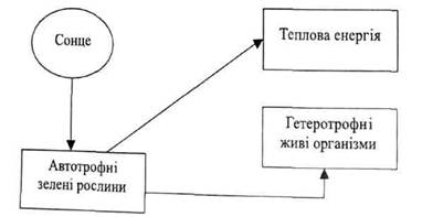 Основні напрямки потоків енергії на Земній Кулі