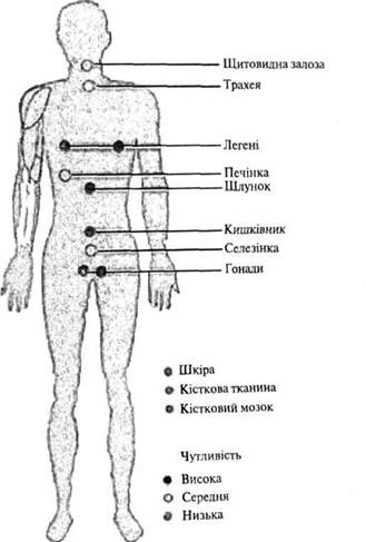Органи, які опромінюються