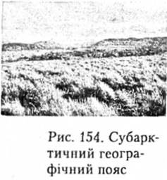 Субарктичний географічний пояс