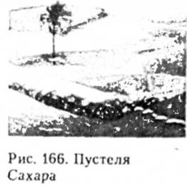 Пустеля Сахара