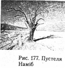 Пустеля Наміб