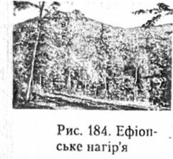 Ефіопське нагіря