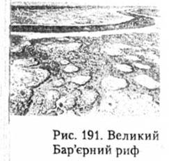Великий Барєрний риф