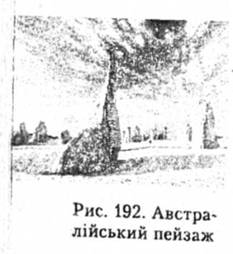 Австралійський пейзаж