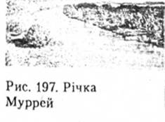 Річка Муррей