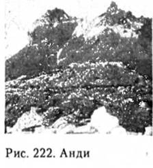 Анди