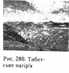 Тибетське нагіря