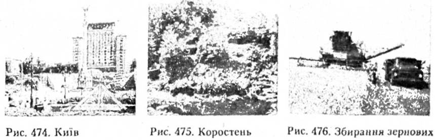 Київ, Коростень, збирання зернових
