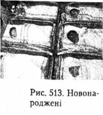 Новонароджені