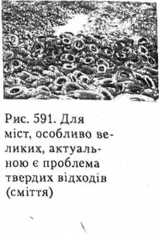 Для міст, особливо великих, актуальною є проблема твердих відходів (сміття)