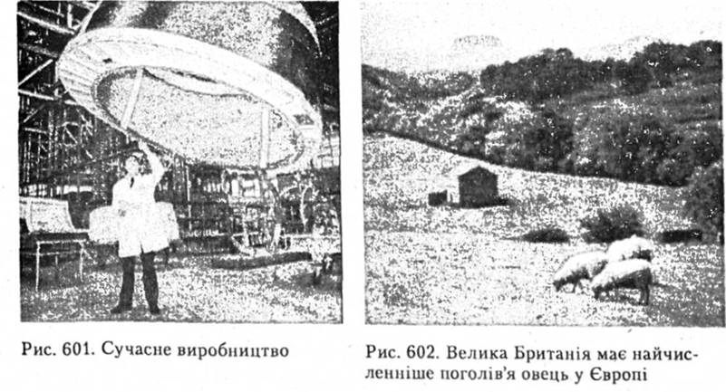 Сучасне виробництво. Велика Британія має найчисленніше поголівя овець у Європі
