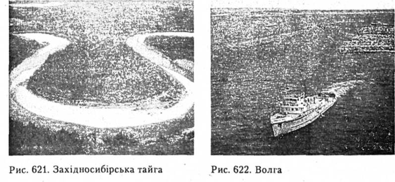 Західносибірська тайга. Волга