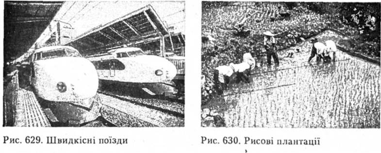 Швидкісні поїзди. Рисові плантації