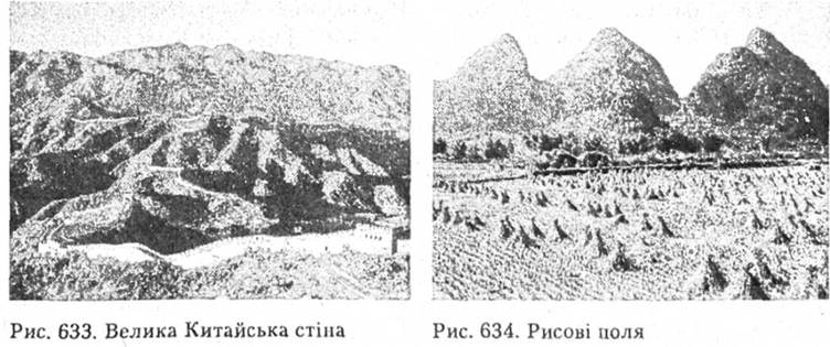 Велика Китайська стіна. Рисові поля