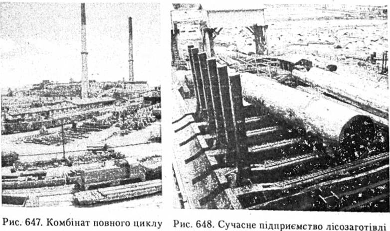 Комбінат повного циклу. Сучасне підприємство лісозаготівлі