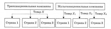 Выход на международный рынок транснациональной и мультинациональной компаний