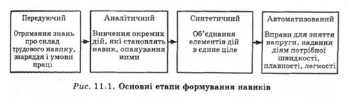 Основні етапи формування навиків 